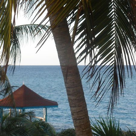Villa Criss Ocho Rios Ngoại thất bức ảnh