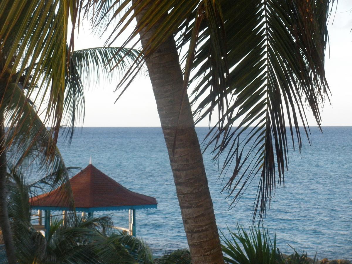 Villa Criss Ocho Rios Ngoại thất bức ảnh